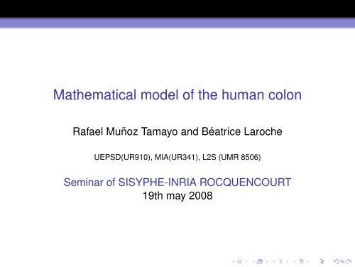 Mathematical model of the human colon - Inria