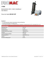Bandschleifer 230V, 0.3kW, Schleifband 50x1000mm Preis inkl ...