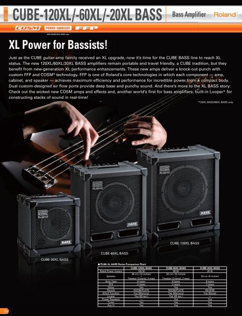 CUBE-XL BASS Brochure - Roland