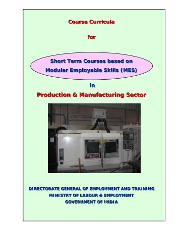 Production & Manufacturing Sector - Directorate General of ...