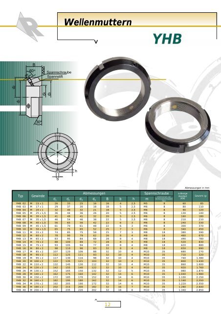 Wellenmuttern Lock Nuts - Romani GmbH