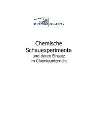 Sicherheitshinweise - Didaktik der Chemie