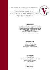 comprehensive site investigation and remediation objectives report