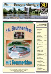 Ronneburger Anzeiger 14/2013 - der Stadt Ronneburg / Thüringen