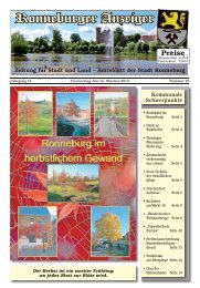 Ronneburger Anzeiger 20/2013 - der Stadt Ronneburg / Thüringen