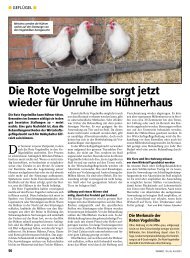 Die Rote Vogelmilbe sorgt jetzt wieder für ... - Halag Chemie AG