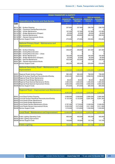 Annual Budget 2009 - Roscommon County Council