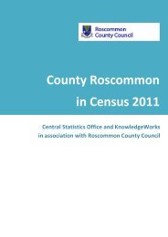 Roscommon in Census 2011 - Roscommon County Council