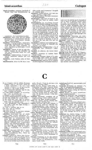 bånd-acanthus Cadogan - Rosekamp