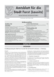 Amtsblatt fÃ¼r die Stadt Forst (Lausitz) 01/2008