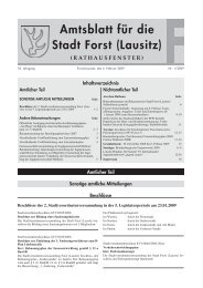 application/pdf 2.0 MB - Stadt Forst (Lausitz)