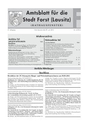 Amtsblatt fÃ¼r die Stadt Forst (Lausitz) (application/pdf 2.0 MB)
