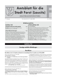 Amtsblatt fÃ¼r die Stadt Forst (Lausitz) 02/2008 (application/pdf 1.2 MB)