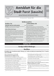 01 Doc S. 1Ã16 (zu) - Stadt Forst (Lausitz)