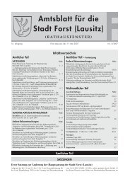 3/07 vom 11. Mai 2007 (application/pdf 4.7 MB - Stadt Forst (Lausitz)