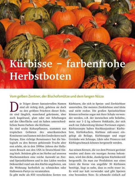 farbenfrohe Herbstboten - Dkv-Residenz in der Contrescarpe