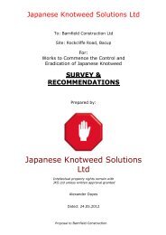 Japanese Knotweed Solutions Ltd