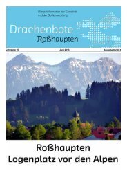 Juni 2013 Ausgabe 06/2013 Jahrgang 16 - RoÃhaupten