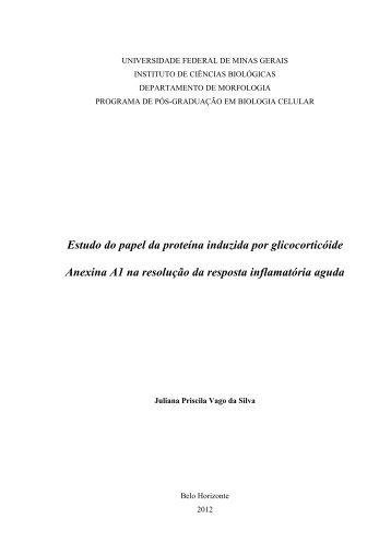 Estudo do papel da proteína induzida por glicocorticóide Anexina ...