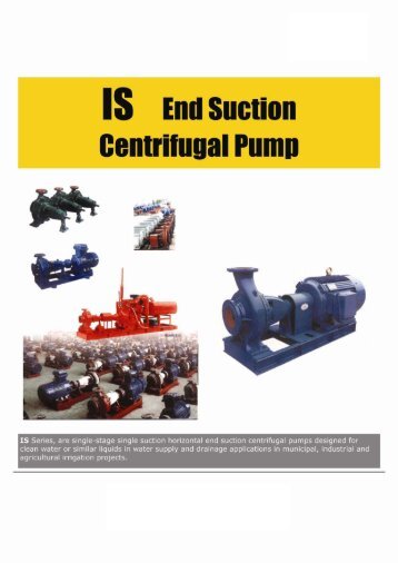 15 End Suction Centrilugal Pump - Rotek