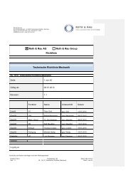 Technische Richtlinie Mechanik - Roth & Rau AG