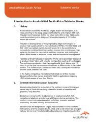 Introduction to ArcelorMittal South Africa Saldanha Works