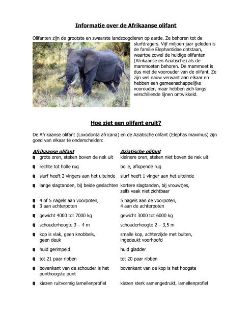 Informatie over de Afrikaanse olifant - Diergaarde Blijdorp