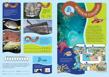 ontdekblad oceanium 2.indd - Diergaarde Blijdorp