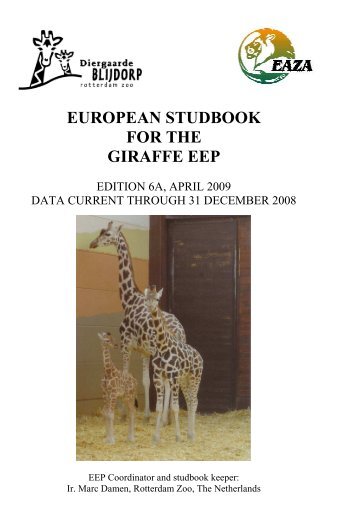 European studbook for the giraffe eep