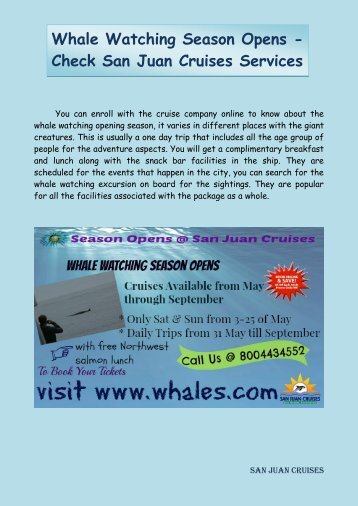 Whale Watching Season Opens - Check San Juan Cruises Services