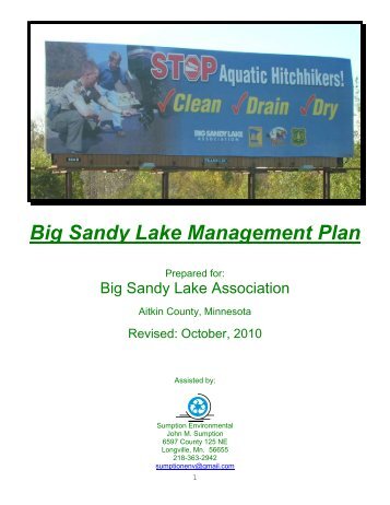 Big Sandy Lake Management Plan - Big Sandy Lake Association