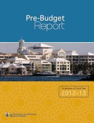 Pre-Budget Report - The Royal Gazette