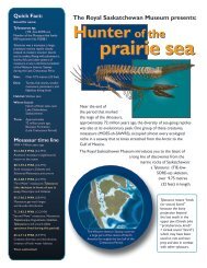 Fact Sheet - Royal Saskatchewan Museum