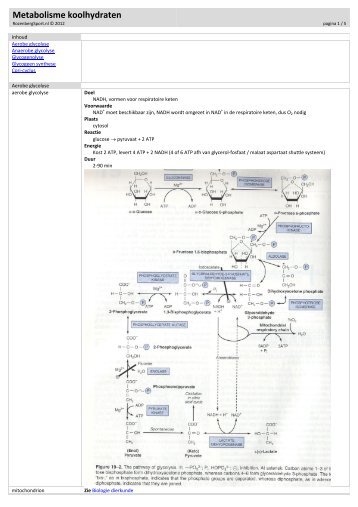 Metabolisme koolhydraten - RozenbergSport.nl