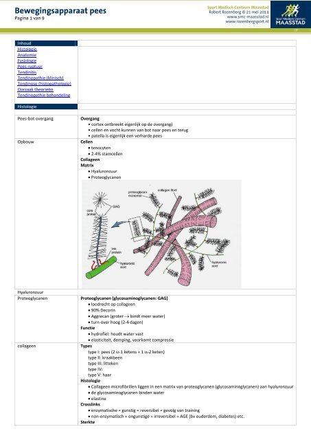 Bewegingsapparaat pees - RozenbergSport.nl