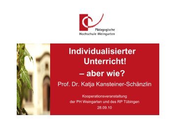 Individualisierter Unterricht! – aber wie?