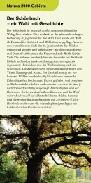 Der Schönbuch – ein Wald mit Geschichte