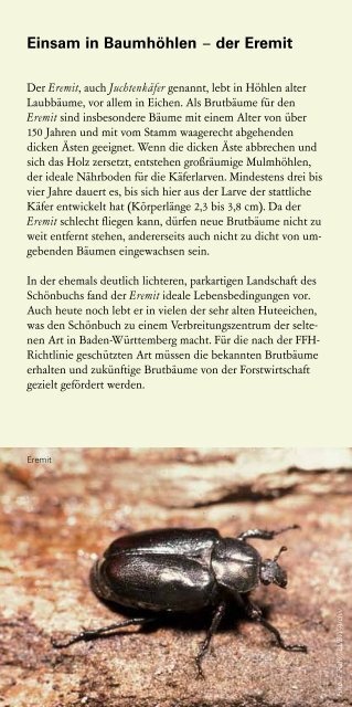 Der Schönbuch – ein Wald mit Geschichte