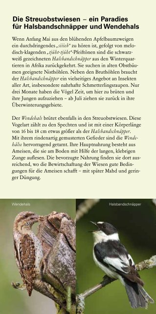 Der Schönbuch – ein Wald mit Geschichte