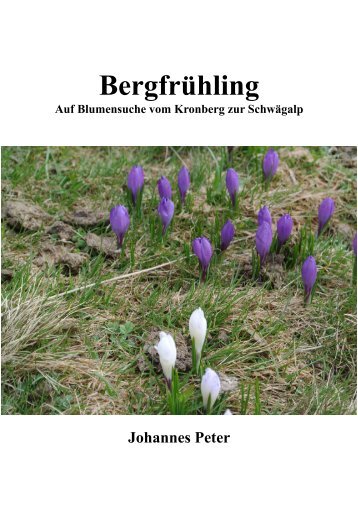 Bergfrühling