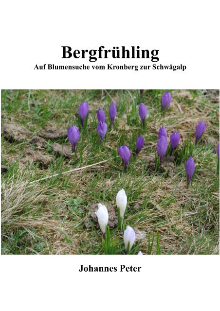 Bergfrühling