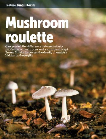 Feature - Mushroom roulette - Royal Society of Chemistry