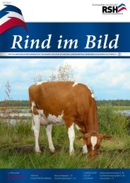 // Rind im Bild 2/2013 1 - Rinderzucht Schleswig-Holstein e.G.