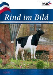 // Rind im Bild 1/2013 1 - Rinderzucht Schleswig-Holstein e.G.