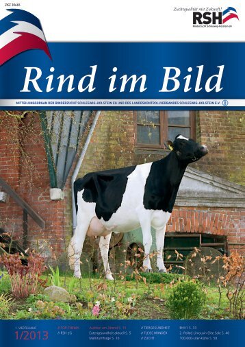 // Rind im Bild 1/2013 1 - Rinderzucht Schleswig-Holstein e.G.