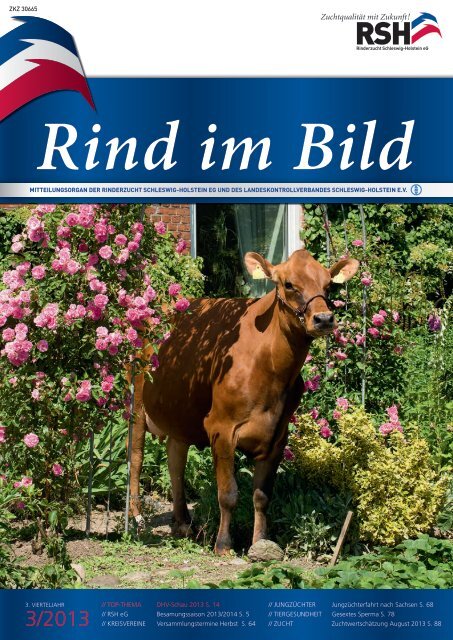 // Rind im Bild 3/2013 1 - Rinderzucht Schleswig-Holstein e.G.