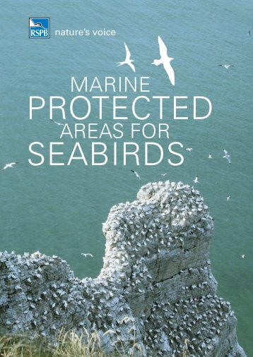 Marine protected areas for seabirds - RSPB