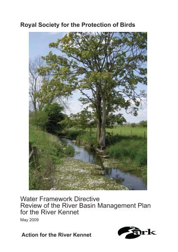 Water Framework Directive Review of the River Basin ... - RSPB