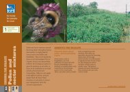 Pollen And Nectar Mixtures - RSPB