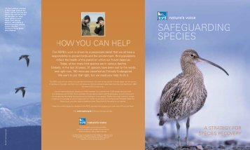 Safeguarding Species - a strategy for species recovery - RSPB